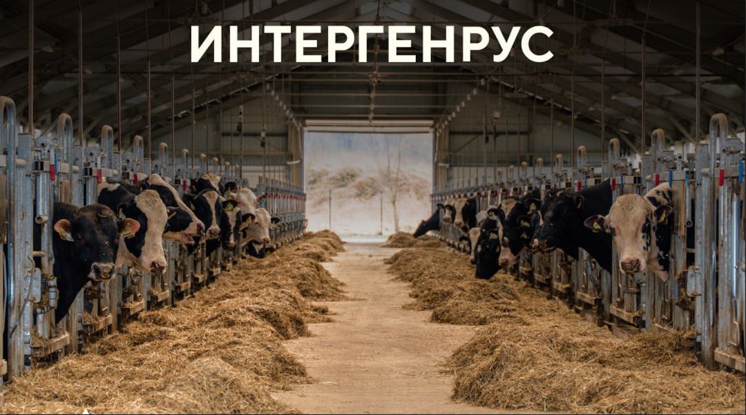 «Интерген Рус» выходит на рынок с новой моделью прямого сотрудничества